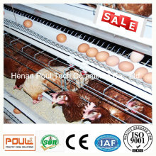 Schicht Huhn Batterie Käfig System